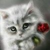 mommykitty2